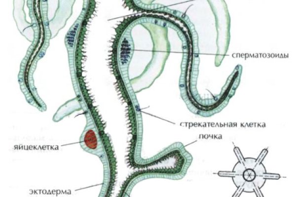 Взломали аккаунт кракен