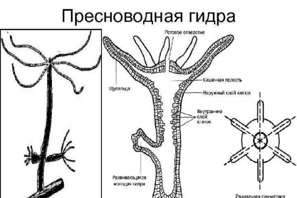 Кракен это что за сайт