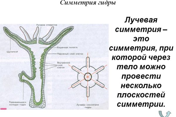 Кракен марке даркнет