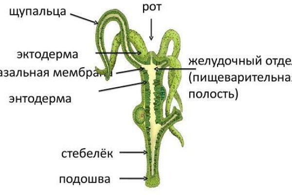 Kraken это современный маркетплейс